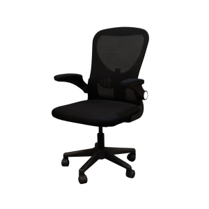 Ergonomic Chair – Regular