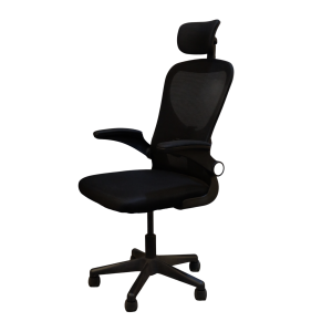 Ergonomic Chair – With Neck Support